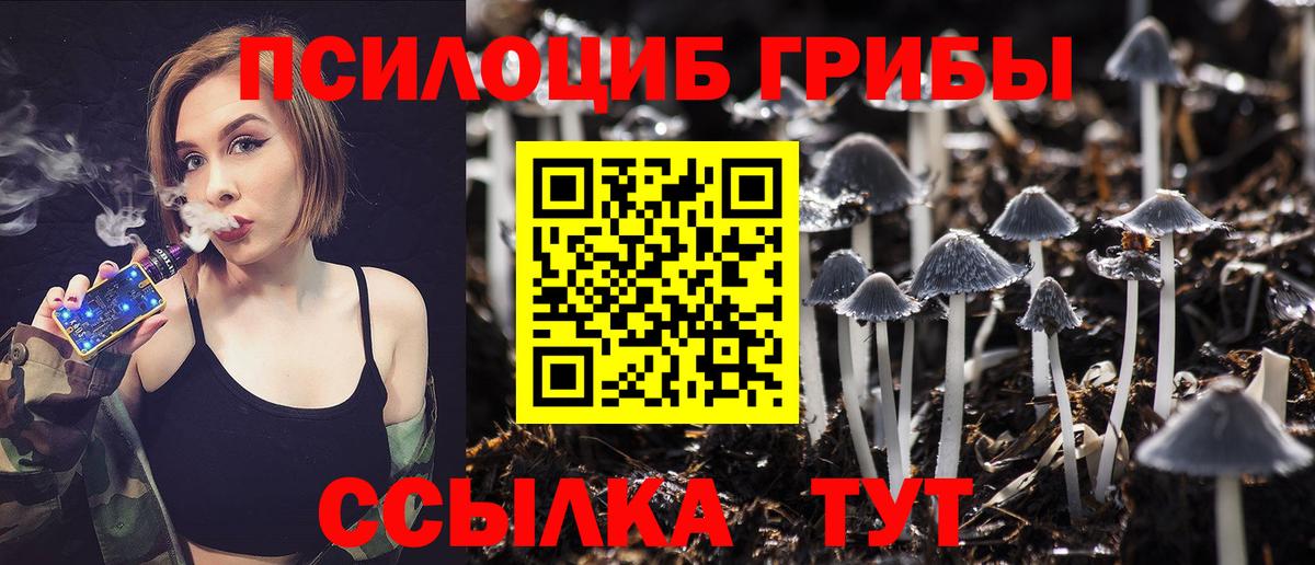 Черкесск  Псилоцибиновые грибы Psilocybine cubensis  Вход с VPN 
