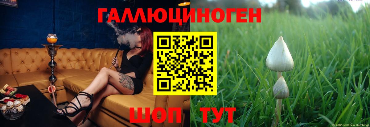 Галлюциногенные грибы GOLDEN TEACHER Черкесск